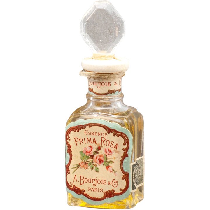 Prima Rosa