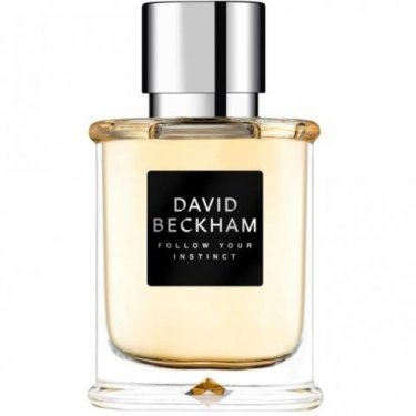 Follow Your Instinct (Eau de Toilette)