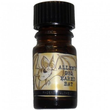 Genius Loci: Bats of Los Angeles - Allen's Big Eared Bat