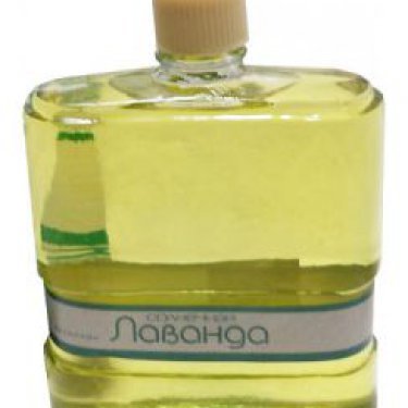 Solnechnaya Lavanda / Солнечная Лаванда