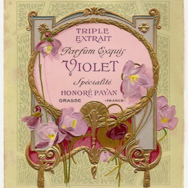 Triple Extract aux Fleurs: Violette