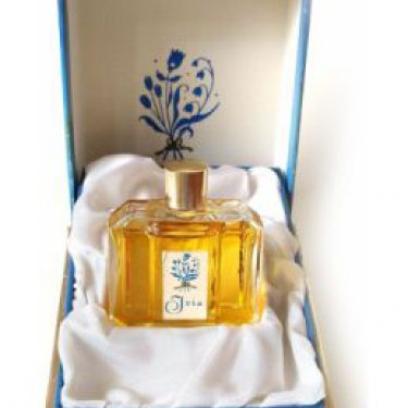 Modry Iris