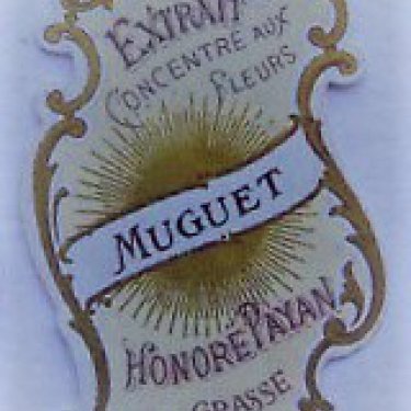 Muguet