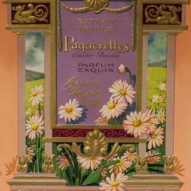 Paquerettes