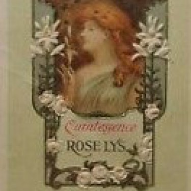 Rose Lys