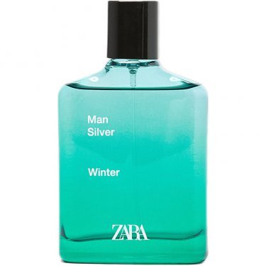 Zara Man Silver Winter