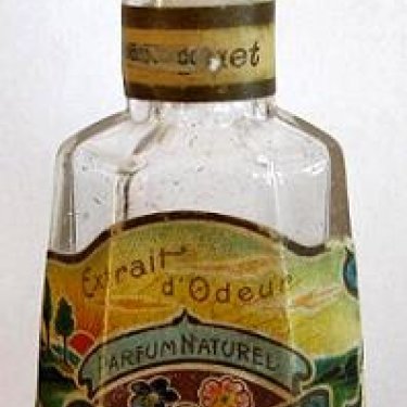 Extrait d'Odeur