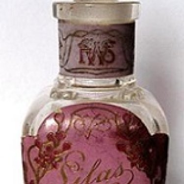 Lilac / Lilas