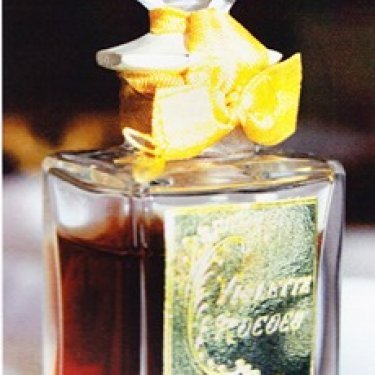 Violette Rococo