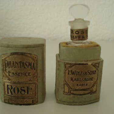 Phantasma - Rosa / Rose
