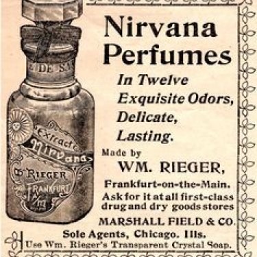 Nirvana White Heliotrope