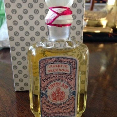 Violette à deux sous