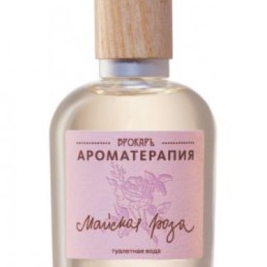 Rose de Mai (Майская роза)