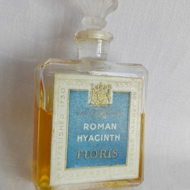 Roman Hyacinth