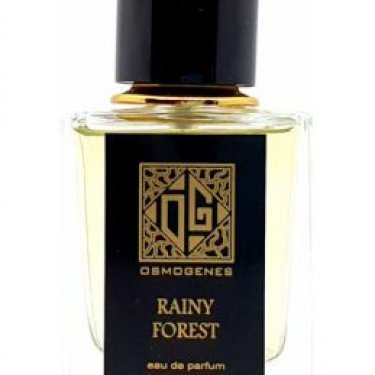 Rainy Forest (Дождливый Лес)