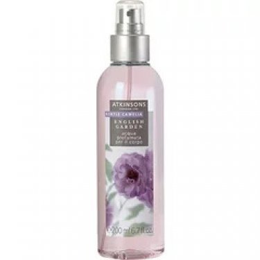 English Garden - Gentle Camelia