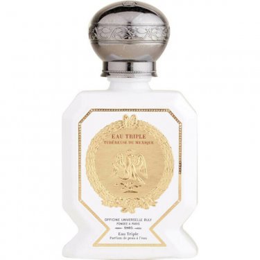Tubéreuse / Tuberose Mexico