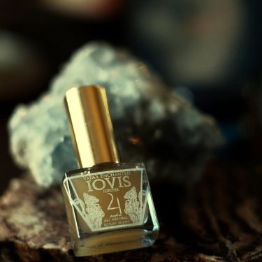 IOVIS