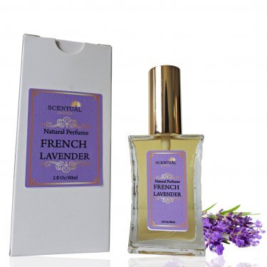 French Lavender