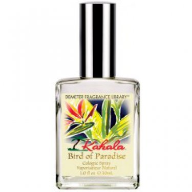 Kahala Collection: Bird of Paradise
