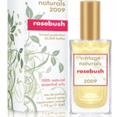 Vintage Naturals 2009 Rosebush