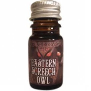 Eastern Screech Owl