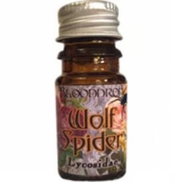 Wolf Spider
