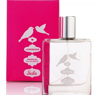 Sule Lovebirds Tropical