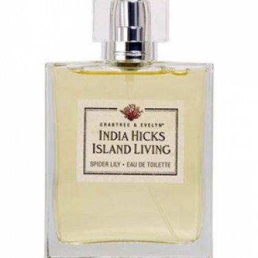 India Hicks Island Living Spider Lily