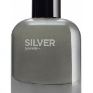 Zara Man Silver (2021)