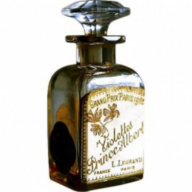 Violettes Prince Albert