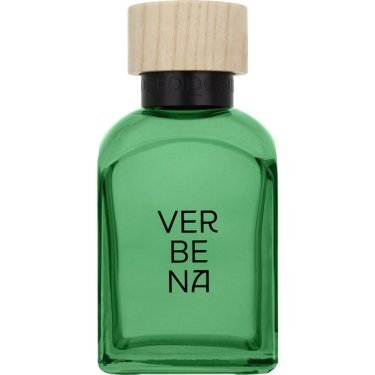 Verbena Hombre