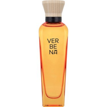 Verbena Mujer