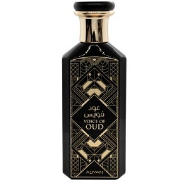Voice of Oud