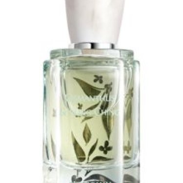 Osmanthus & Lung Ching