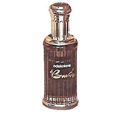 Burvis (Diviner)