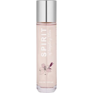 Spirit of Tempting Lilies