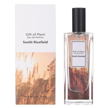 Gift of Plant: Sunlit Ricefield