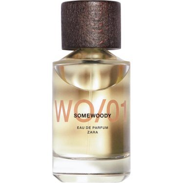 WO/01 Somewoody