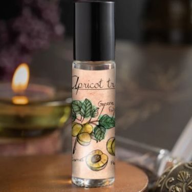 Apricot Tree (Perfume Oil)