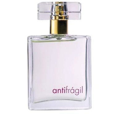 Antifrágil Pour Homme