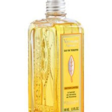 Verveine Agrumes / Verbena Citrus (2024)