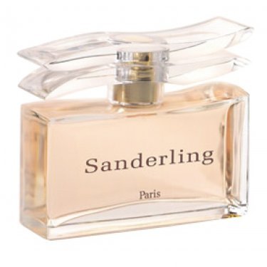 Sanderling
