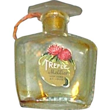 Trefle