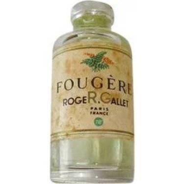 Fougère / Fern