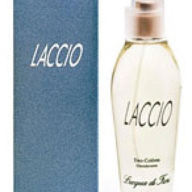 Laccio