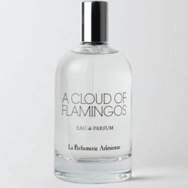 A Cloud of Flamingos