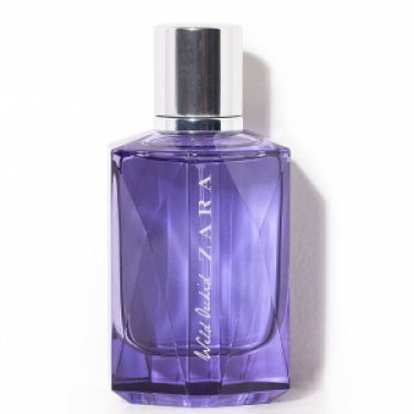 Wild Orchid