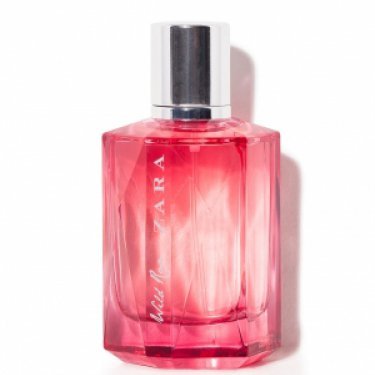 Wild Rose