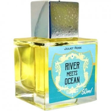 River Meets Ocean